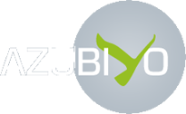 Logo: AZUBIYO