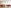 Macromedia Akademie Bild 5