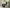 Siemens AG Bild 1