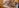 Privatbrauerei ERDINGER Weißbräu Bild 6