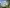 Storch-Ciret Group Bild 1