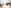 Storch-Ciret Group Bild 2