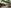 Center Parcs Bispinger Heide Bild 6