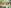 Center Parcs Bispinger Heide Bild 5