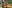 Center Parcs Bispinger Heide Bild 12