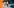 Schwarz Digits KG Bild 5