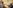 Wicker-Gruppe Bild 9