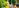 Seier Unternehmensgruppe Bild 2