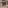 BGV / Badische Versicherungen Bild 6
