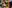 STILL GmbH Bild 5