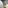 Essity GmbH Bild 1