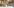 Computacenter AG & Co. oHG Bild 5