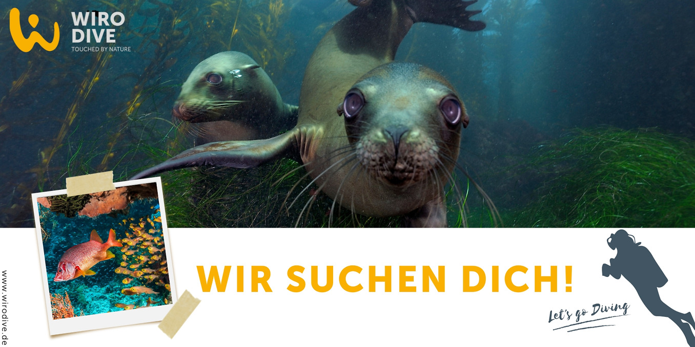 Freie Stelle WIRODIVE Tauch- und Erlebnisreisen GmbH