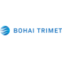 Logo BOHAI TRIMET Automotive Holding GmbH