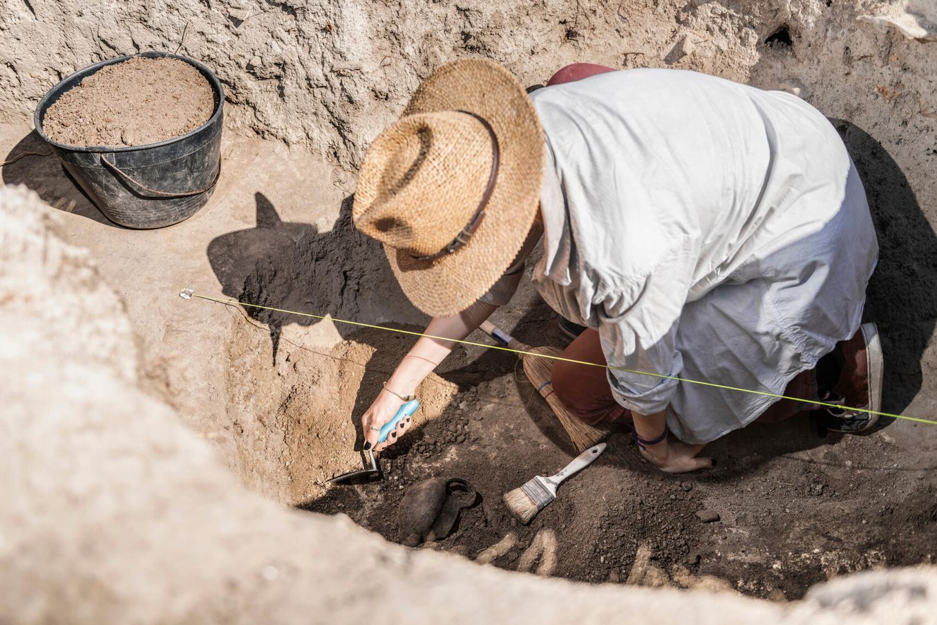Palaeontologie Studium – Ausgrabung von Fossilien