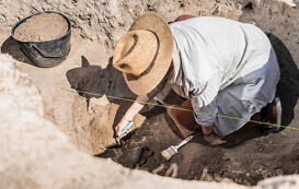 Pala¨ontologie – Ausgrabung von Fossilien Palaeontologie – Ausgrabung von Fossilien