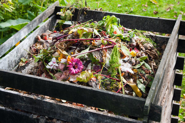 Natur- und Umweltpädagogen erklären den Kompost