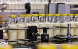 Milchtechnologe Milchtechnologe