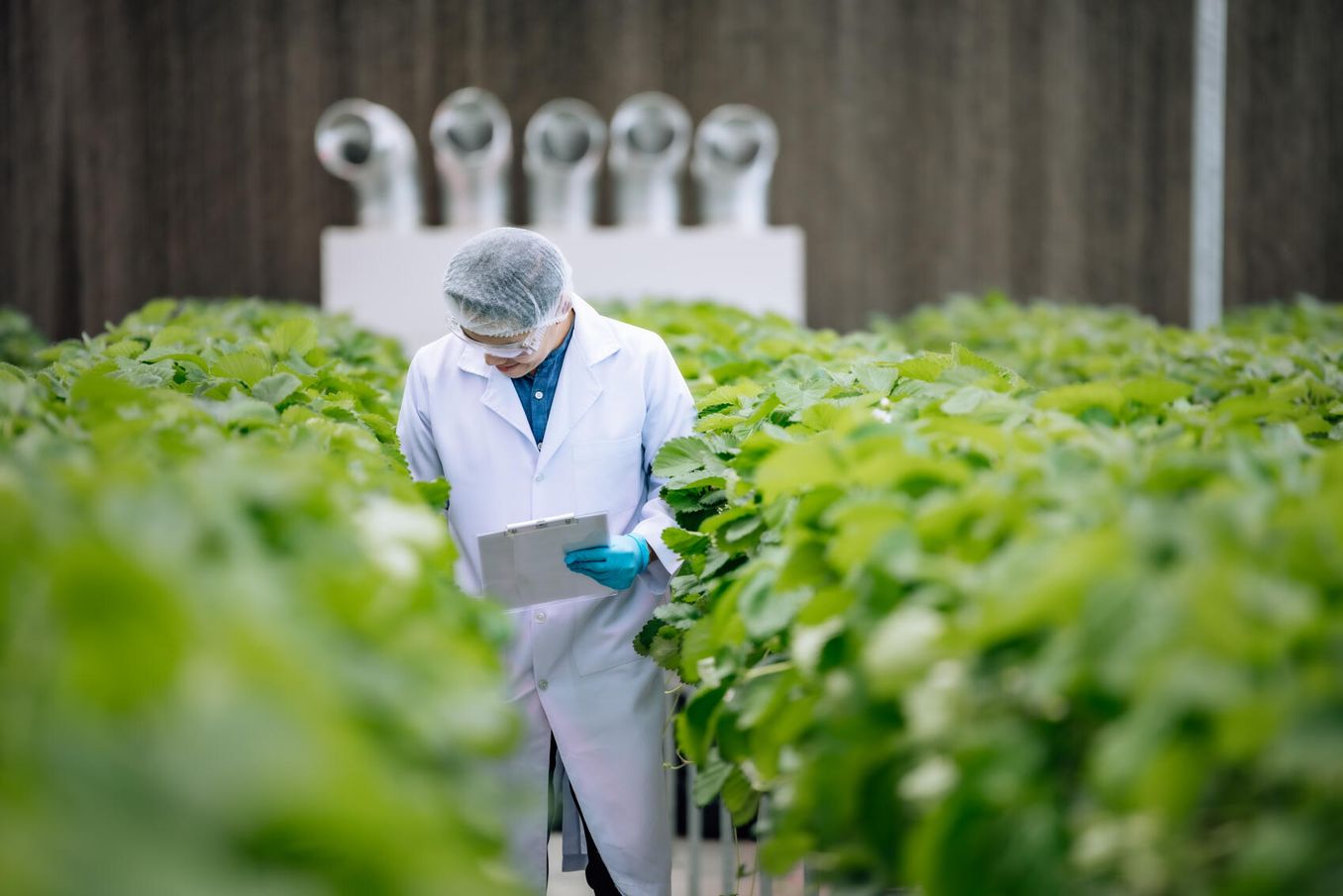 Precision Farming