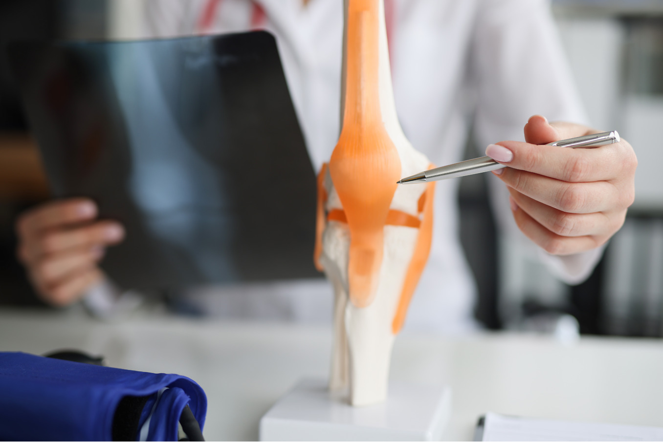 Rheumatologe erklärt Anatomie Rheumatologe erklärt Anatomie