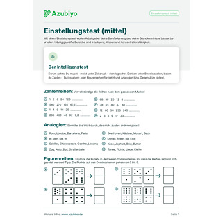Einstellungstest zum Üben: Mittel (PDF) Einstellungstest zum Üben: Mittel (PDF)