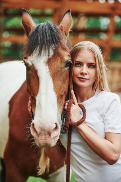 Reitlehrerin mit Pferd Reitlehrerin mit Pferd