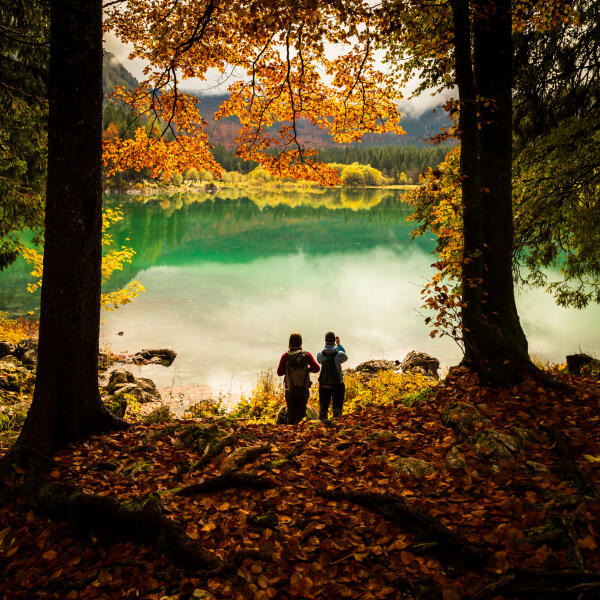 Ranger arbeiten in der Natur