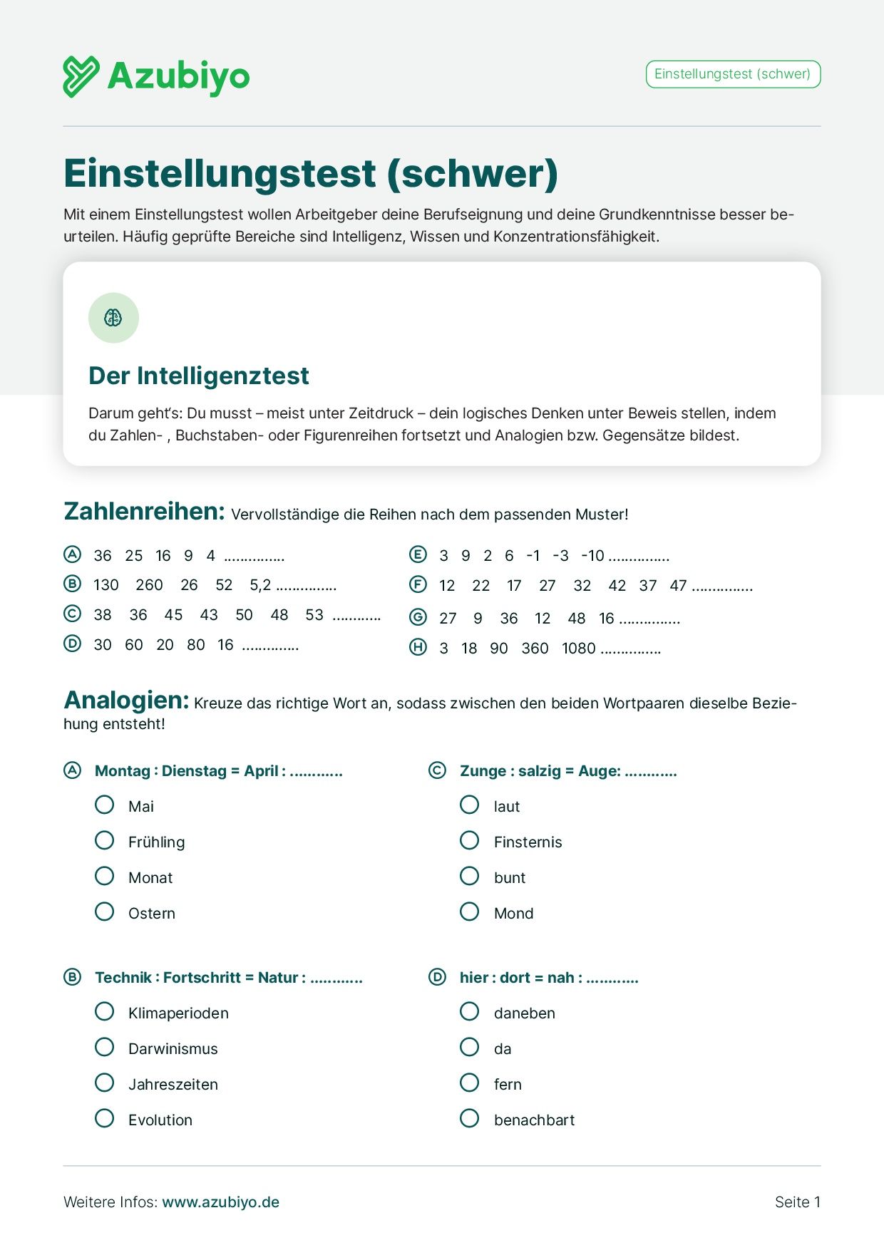 Einstellungstest zum Üben: Schwer (PDF)