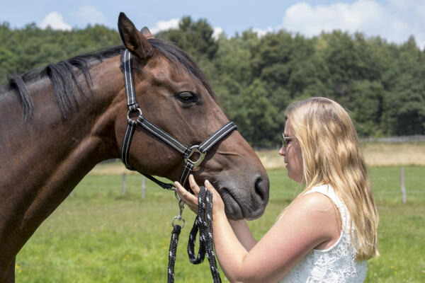 Reitlehrer achten auf Harmonie zwischen Reiter und Pferd Reitlehrer achten auf Harmonie zwischen Reiter und Pferd