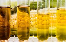 Umweltschutztechnischer Assistent Umweltschutztechnischer Assistent