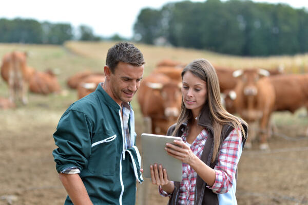 Landwirte besprechen Aufgaben