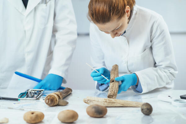 Biologiemodellmacher fertigen Modelle nach wissenschaftlichen Vorgaben an Biologiemodellmacher fertigen Modelle nach wissenschaftlichen Vorgaben an