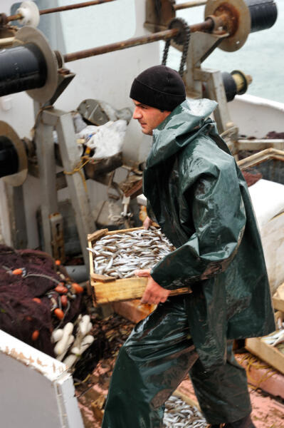 Fischwirt auf Boot