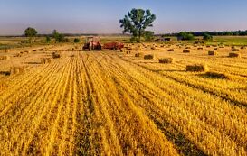 Berufsbild Landwirt Berufsbild Landwirt