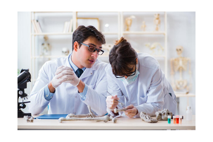 Anthropologie Studenten arbeiten im Labor