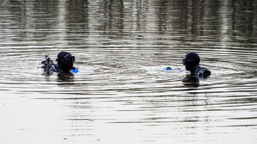 Golfballtaucher im Wasser