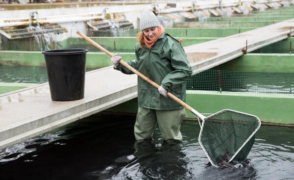 Fischwirtin bei der Arbeit