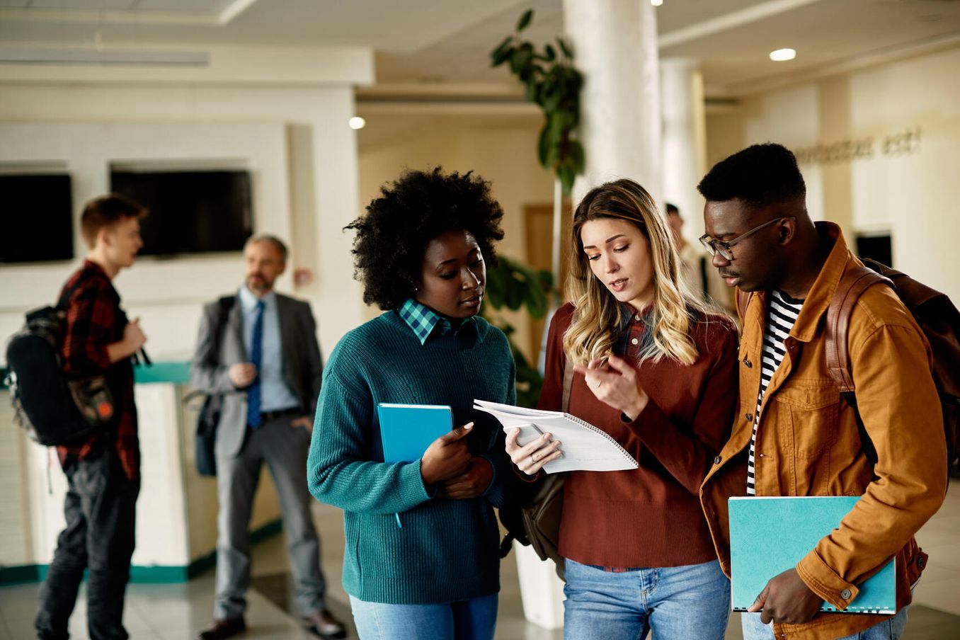 Studierende planen den Ablauf ihres grundstaendigen Studiums