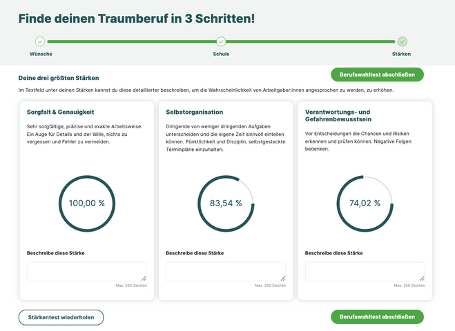 Berufswahltest Stärken Ergebnis