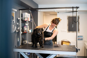 Hundefriseurin im Salon Hundefriseurin im Salon