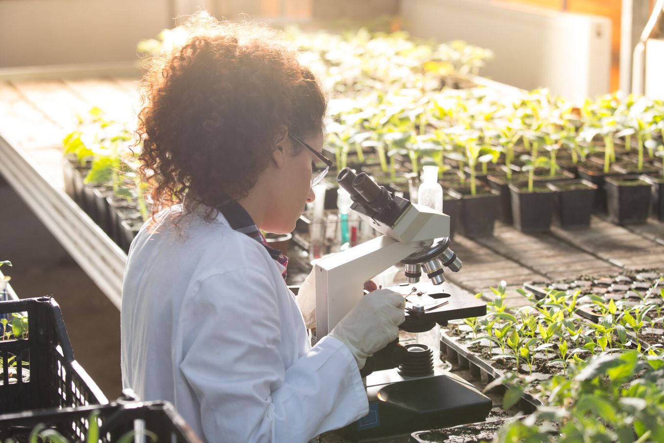 Studentin absolviert ein Laborpraktikum im Bioingenieurwesen Studium