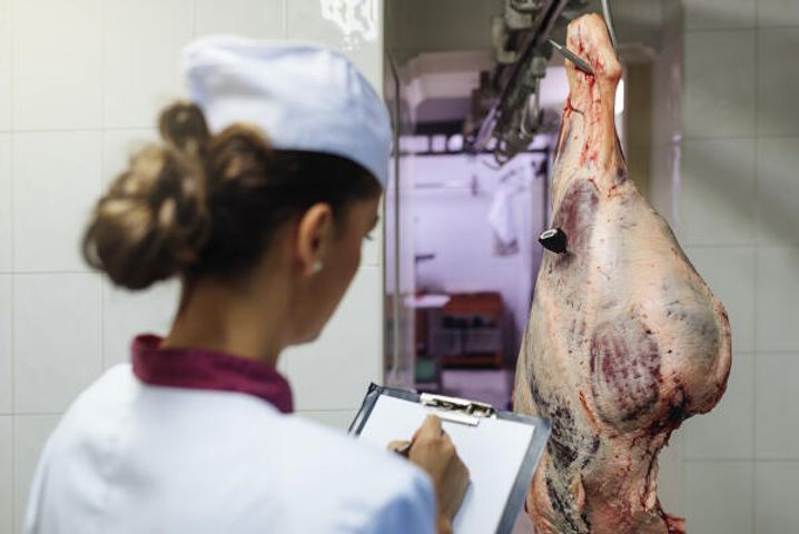 Amtliche Fachassistenten u¨berpu¨fen Fleisch.jpeg