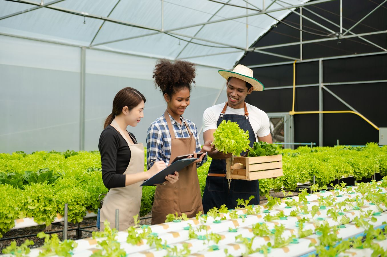 Greenjobs