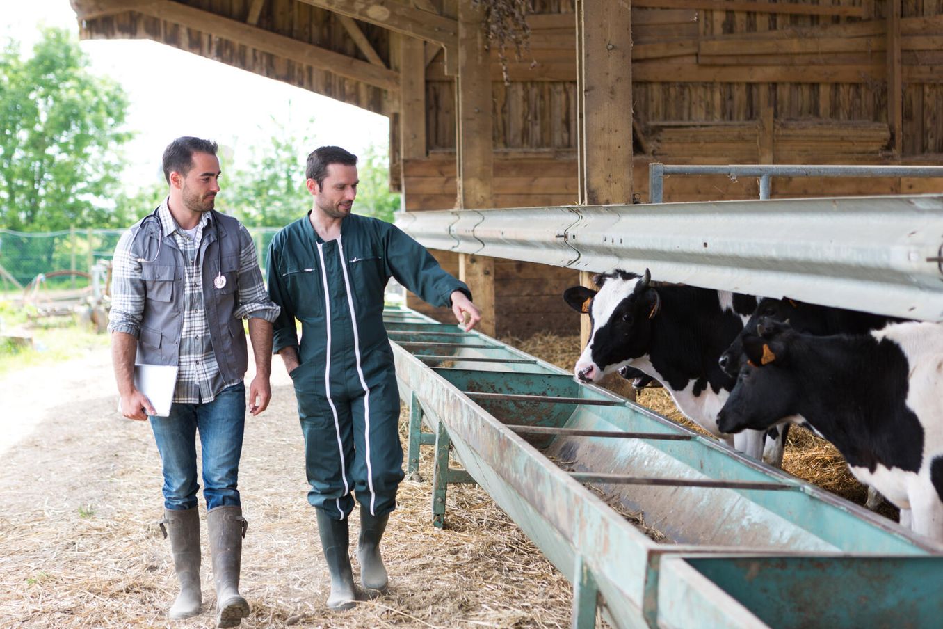 Tierheilpraktiker spricht mit Landwirt