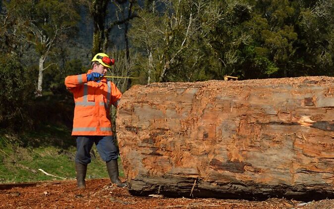 Holzbearbeitungsmechaniker Ausbildung Holzbearbeitungsmechaniker
