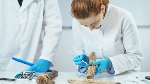 Ausbildung Präparationstechnischer Assistent Ausbildung Präparationstechnischer Assistent