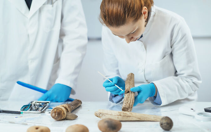 Präparationstechnischer Assistent Ausbildung Präparationstechnischer Assistent