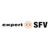 Freie Stelle expert SFV GmbH Logo expert SFV GmbH