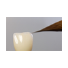 Freie Stelle Dentaltechnik Schmidtke Canini GmbH Logo Dentaltechnik Schmidtke Canini GmbH