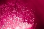 Ansprechpartner Deutsche Telekom AG Ansprechpartner Deutsche Telekom AG